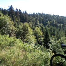 IMG_20180727_091910 IMG_20180727_091910