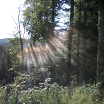 IMG_20180727_091932 IMG_20180727_091932