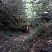 IMG_20180727_095730 IMG_20180727_095730