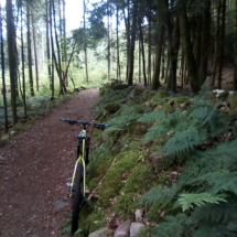 IMG_20180728_092754 IMG_20180728_092754