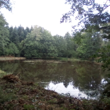 IMG_20180728_102722 IMG_20180728_102722