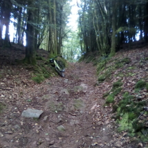 IMG_20180728_104300 IMG_20180728_104300