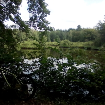 IMG_20180728_112513 IMG_20180728_112513