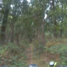 vcfaumont-2018-08-12-12h53m21s163 vcfaumont-2018-08-12-12h53m21s163