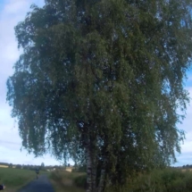 vcfaumont-2018-08-12-13h00m49s945 vcfaumont-2018-08-12-13h00m49s945