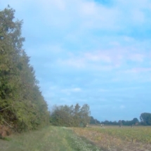 vcfaumont-2018-08-19-14h27m02s383 vcfaumont-2018-08-19-14h27m02s383