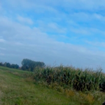 vcfaumont-2018-08-19-14h27m18s819 vcfaumont-2018-08-19-14h27m18s819