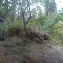 vcfaumont-2018-08-27-08h56m29s541 vcfaumont-2018-08-27-08h56m29s541