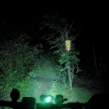 vcfaumont-2018-09-01-10h33m05s441 vcfaumont-2018-09-01-10h33m05s441