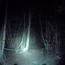 vcfaumont-2018-09-01-11h10m12s317 vcfaumont-2018-09-01-11h10m12s317