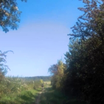 vcfaumont-2018-09-02-16h05m18s150 vcfaumont-2018-09-02-16h05m18s150