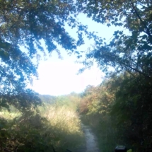 vcfaumont-2018-09-02-16h06m01s265 vcfaumont-2018-09-02-16h06m01s265