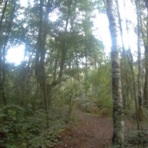 vcfaumont-2018-09-09-14h44m37s139 vcfaumont-2018-09-09-14h44m37s139