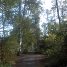 vcfaumont-2018-09-17-20h05m12s025 vcfaumont-2018-09-17-20h05m12s025