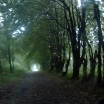 vcfaumont-2018-09-23-15h48m53s444 vcfaumont-2018-09-23-15h48m53s444