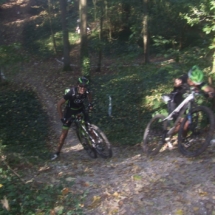 Chauffour (41) Chauffour (41)