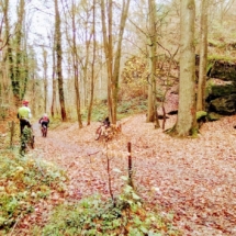 IMG_20181125_104253 IMG_20181125_104253