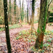 IMG_20181125_104308 IMG_20181125_104308