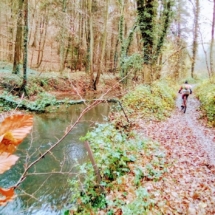 IMG_20181125_104337 IMG_20181125_104337