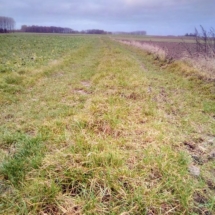 IMG_20181209_091136 IMG_20181209_091136