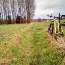 IMG_20181209_091555 IMG_20181209_091555