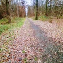 IMG_20181209_091850 IMG_20181209_091850