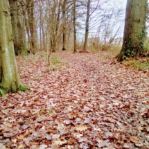 IMG_20181209_092120 IMG_20181209_092120