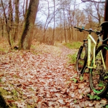 IMG_20181209_092343 IMG_20181209_092343