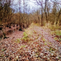 IMG_20181209_092426 IMG_20181209_092426