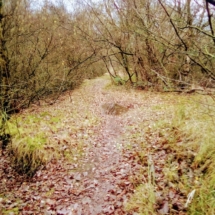 IMG_20181209_092532 IMG_20181209_092532