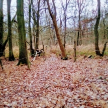 IMG_20181209_092802 IMG_20181209_092802