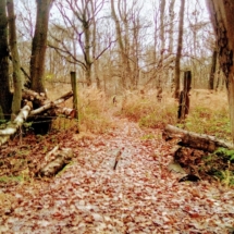 Single bonus des Sorcières IMG_20181209_092827