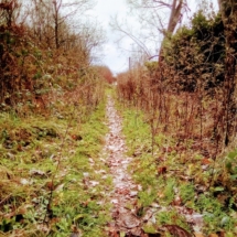 IMG_20181209_093315 IMG_20181209_093315