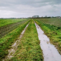 Chemins agricoles IMG_20181209_094802