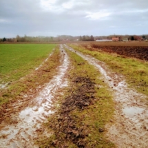 IMG_20181209_095201 IMG_20181209_095201