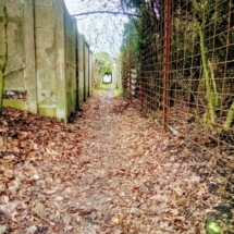 Voyette à Raimbeaucourt IMG_20181209_095642