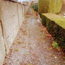 IMG_20181209_095912 IMG_20181209_095912