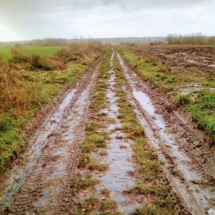 IMG_20181209_100858 IMG_20181209_100858