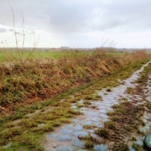 IMG_20181209_101024 IMG_20181209_101024