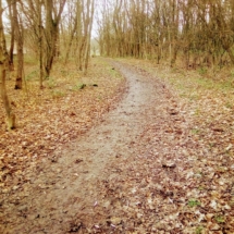 IMG_20181209_101716 IMG_20181209_101716