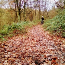 IMG_20181209_102243 IMG_20181209_102243