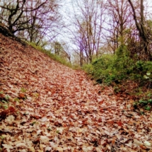 Terril de Leforest IMG_20181209_102357