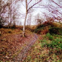 IMG_20181209_102620 IMG_20181209_102620