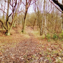 IMG_20181209_102931 IMG_20181209_102931