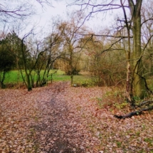 IMG_20181209_102943 IMG_20181209_102943