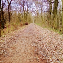 IMG_20181209_103341 IMG_20181209_103341