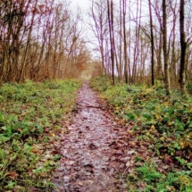 IMG_20181209_103848 IMG_20181209_103848