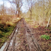 IMG_20181209_104330 IMG_20181209_104330