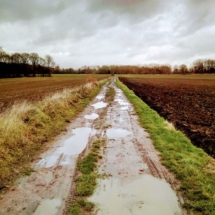 IMG_20181209_104935 IMG_20181209_104935