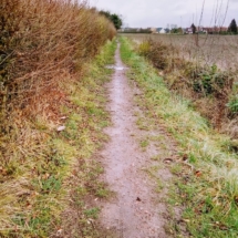 IMG_20181209_105506 IMG_20181209_105506